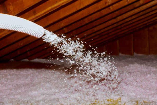 Garage Insulation Installation in Waikapu, HI
