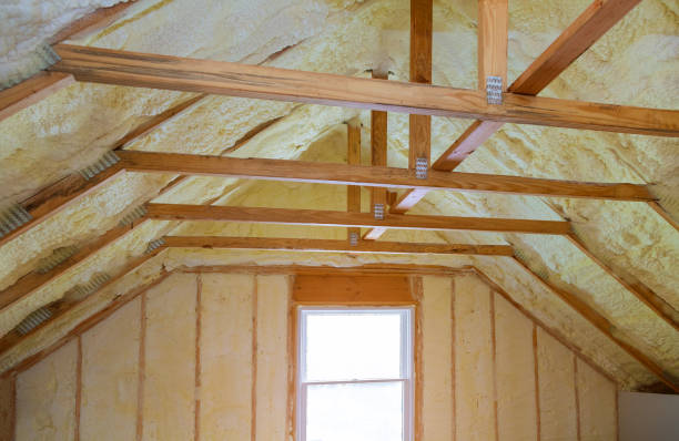 Best Home Insulation Services  in Waikapu, HI