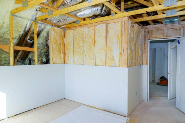Best Insulation Removal  in Waikapu, HI