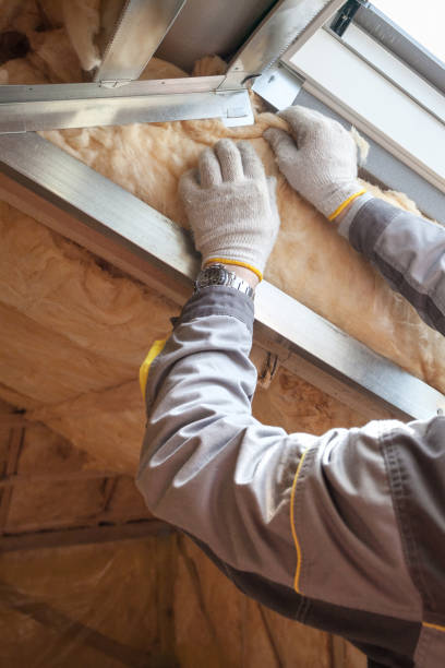 Best Garage Insulation Installation  in Waikapu, HI