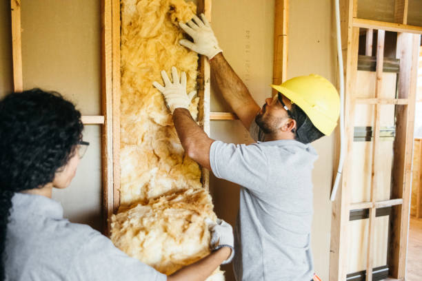 Best Energy-efficient Insulation  in Waikapu, HI